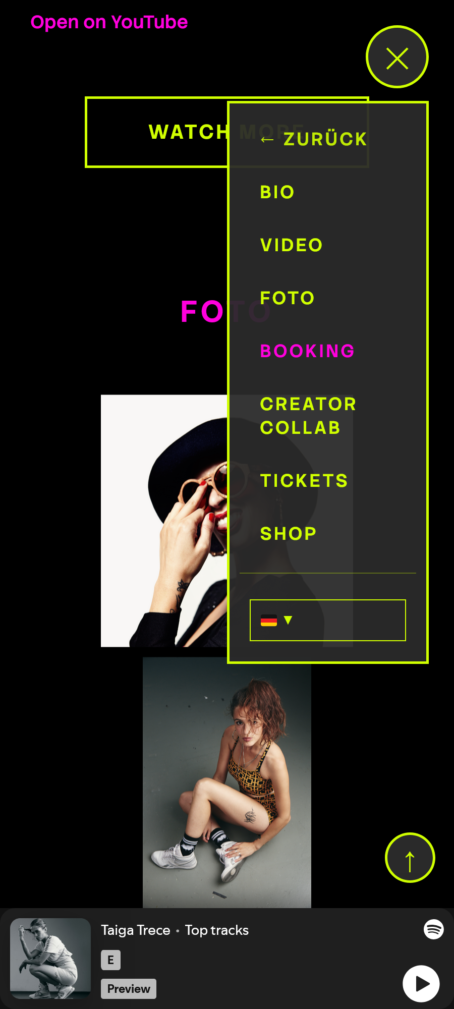 Taiga Website Screenshot 4